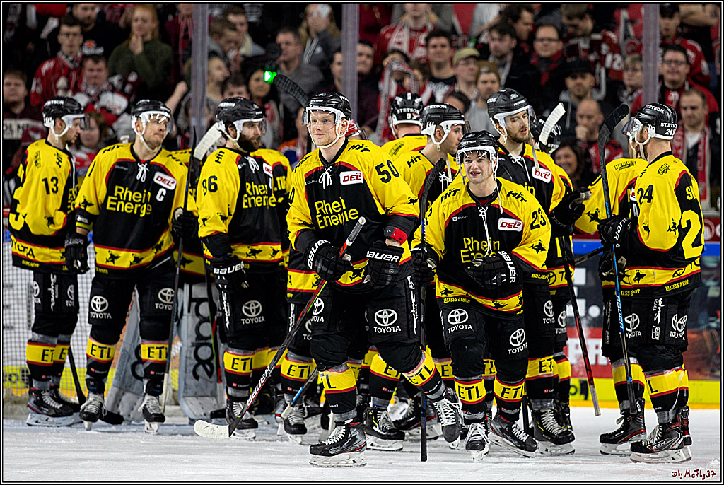 DEL;  Koelner Haie - Straubing Tigers; Koeln, 01.03.2020